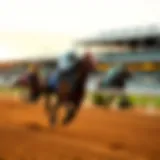 A thoroughbred horse racing at a prestigious prep race.